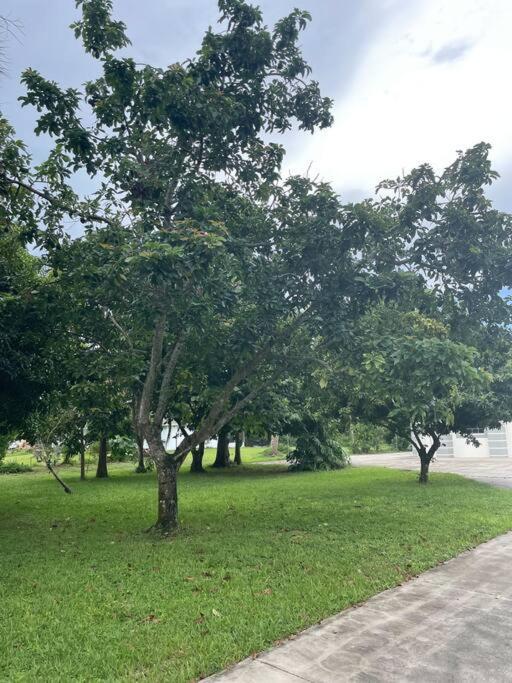 La Finca... Beautiful Countryside Home ! North North Naples Exteriér fotografie